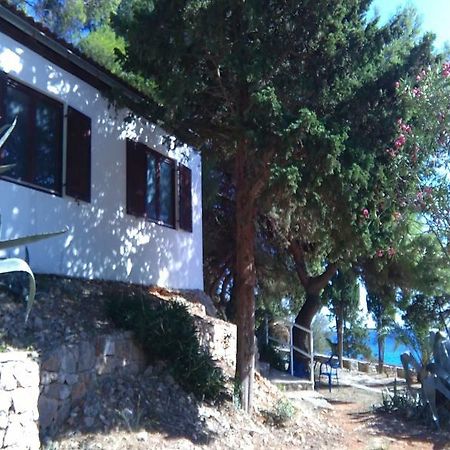 Tourist Resort Milna Vis Dış mekan fotoğraf